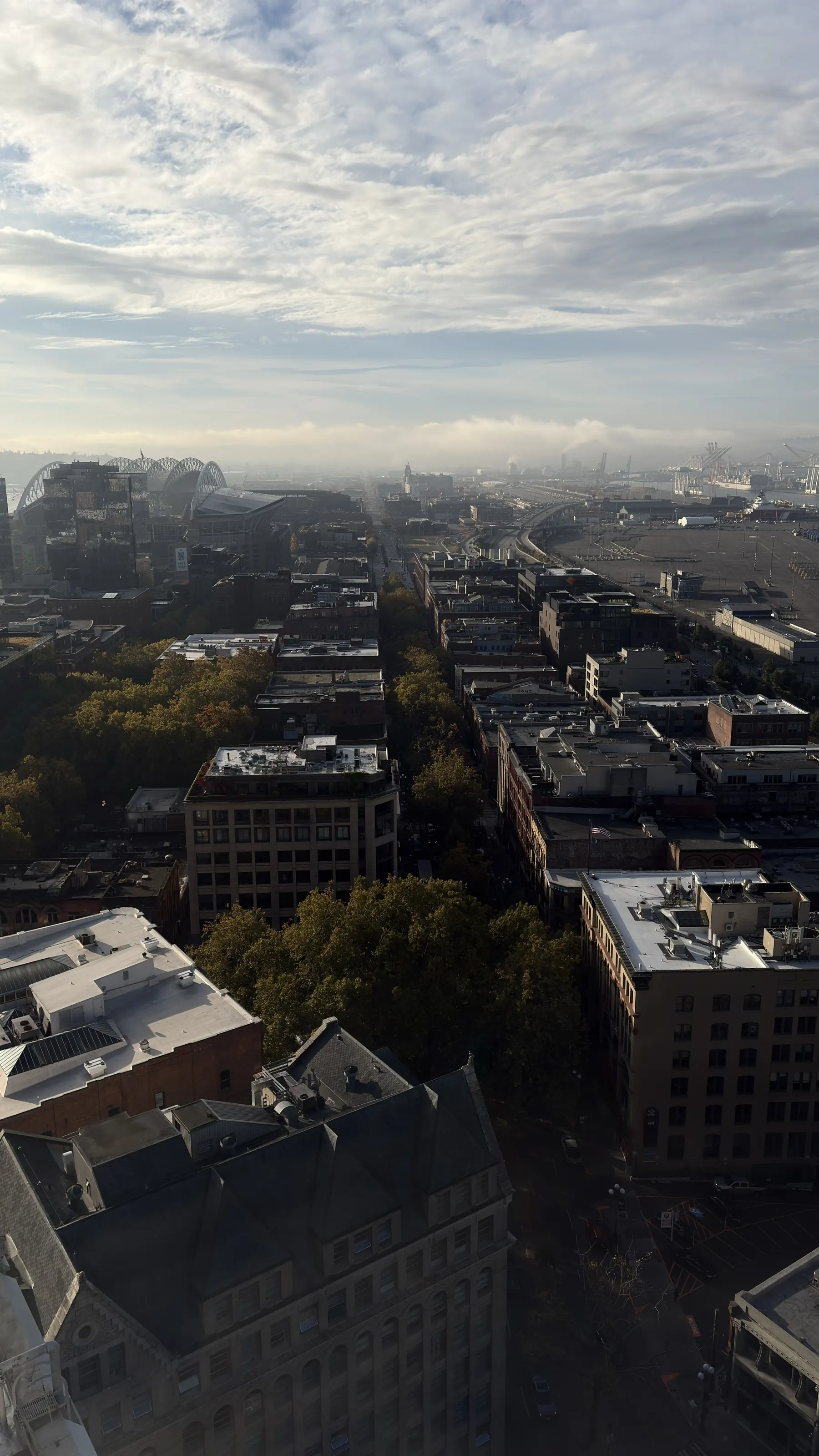 View over rooftops toward the stadiums and waterfront from high on a building