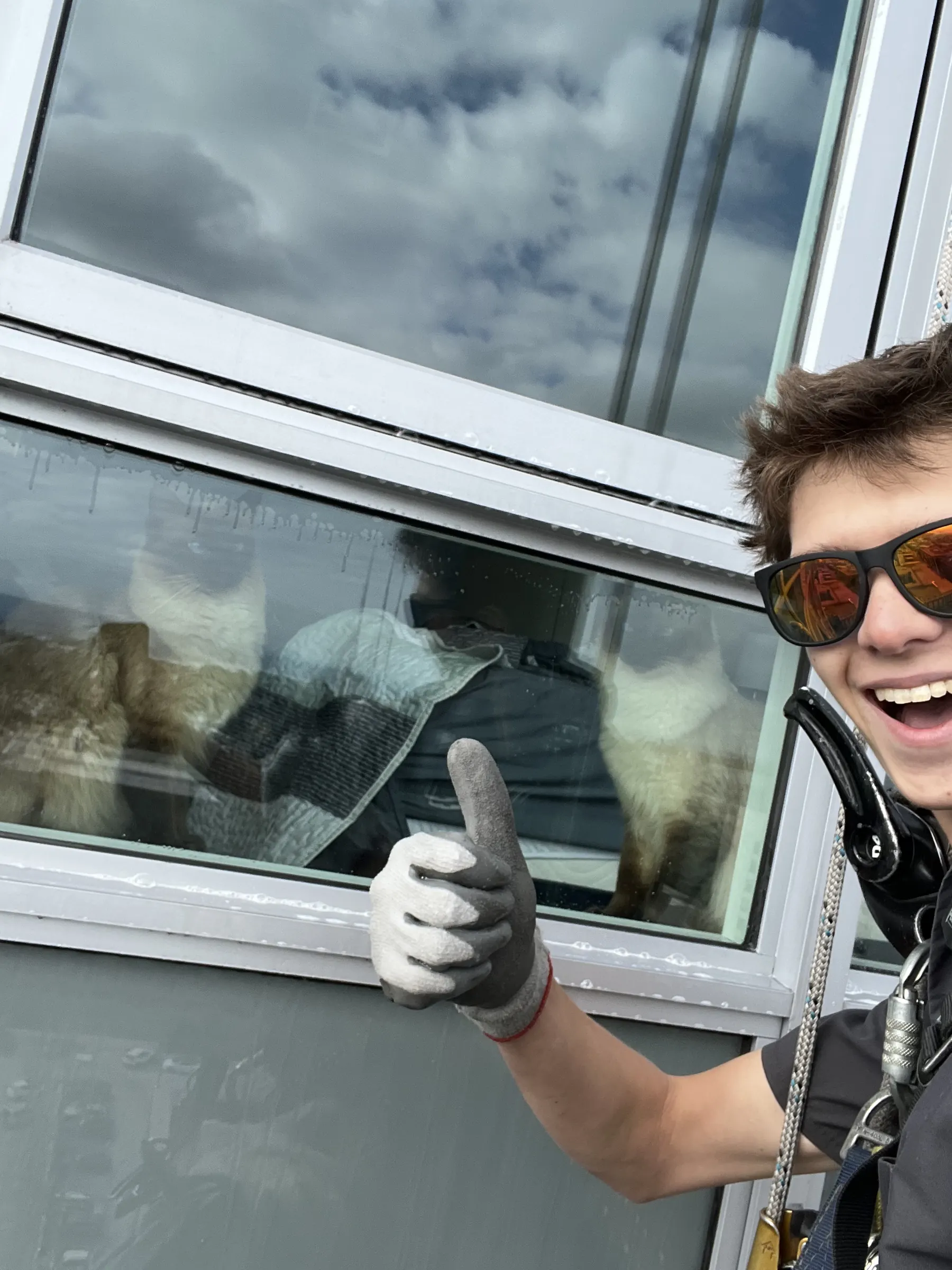 Rope access technician giving a thumbs up from outside a window while two cats watch from inside
