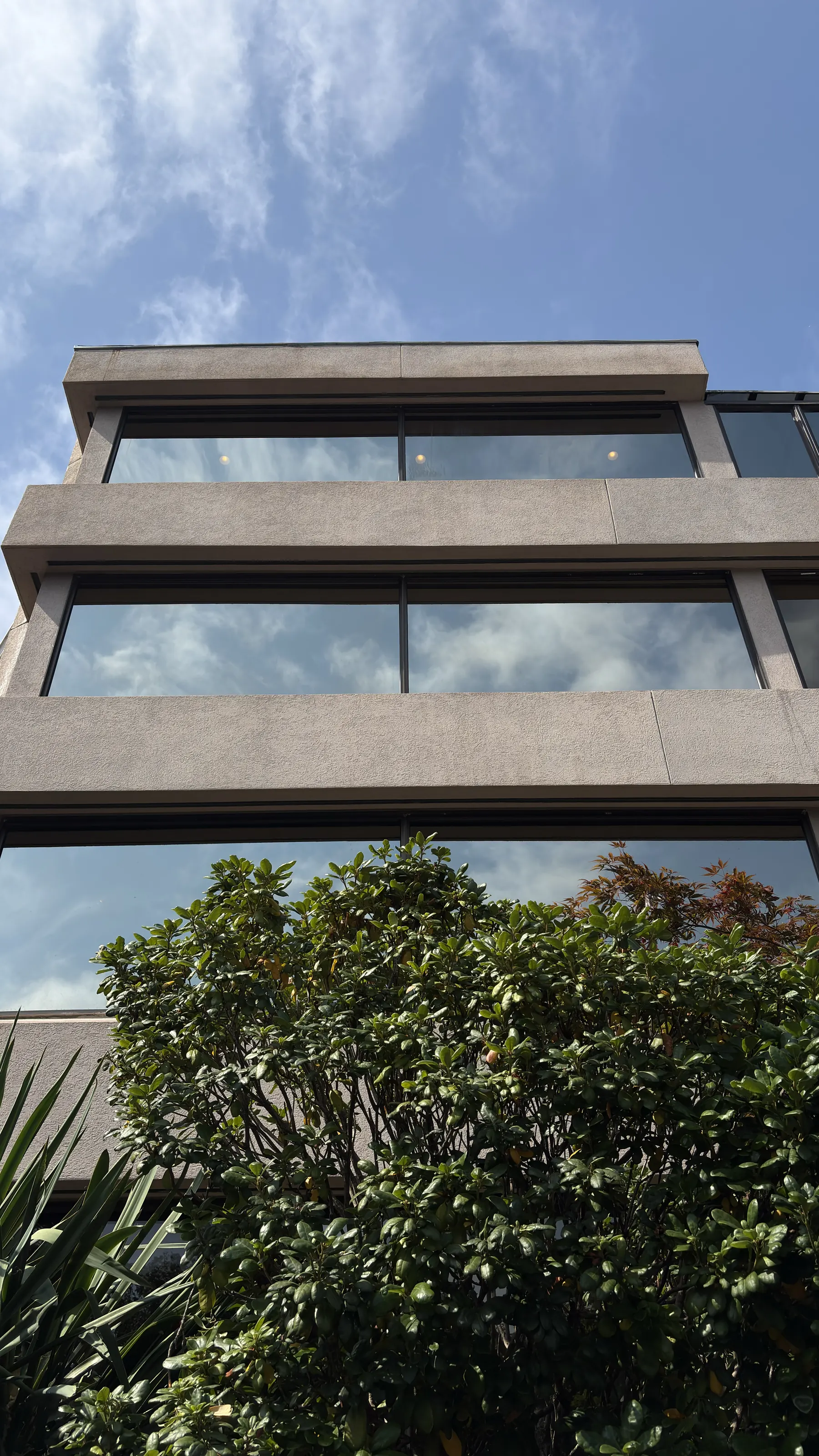 Clean concrete and glass on a building after soft washing