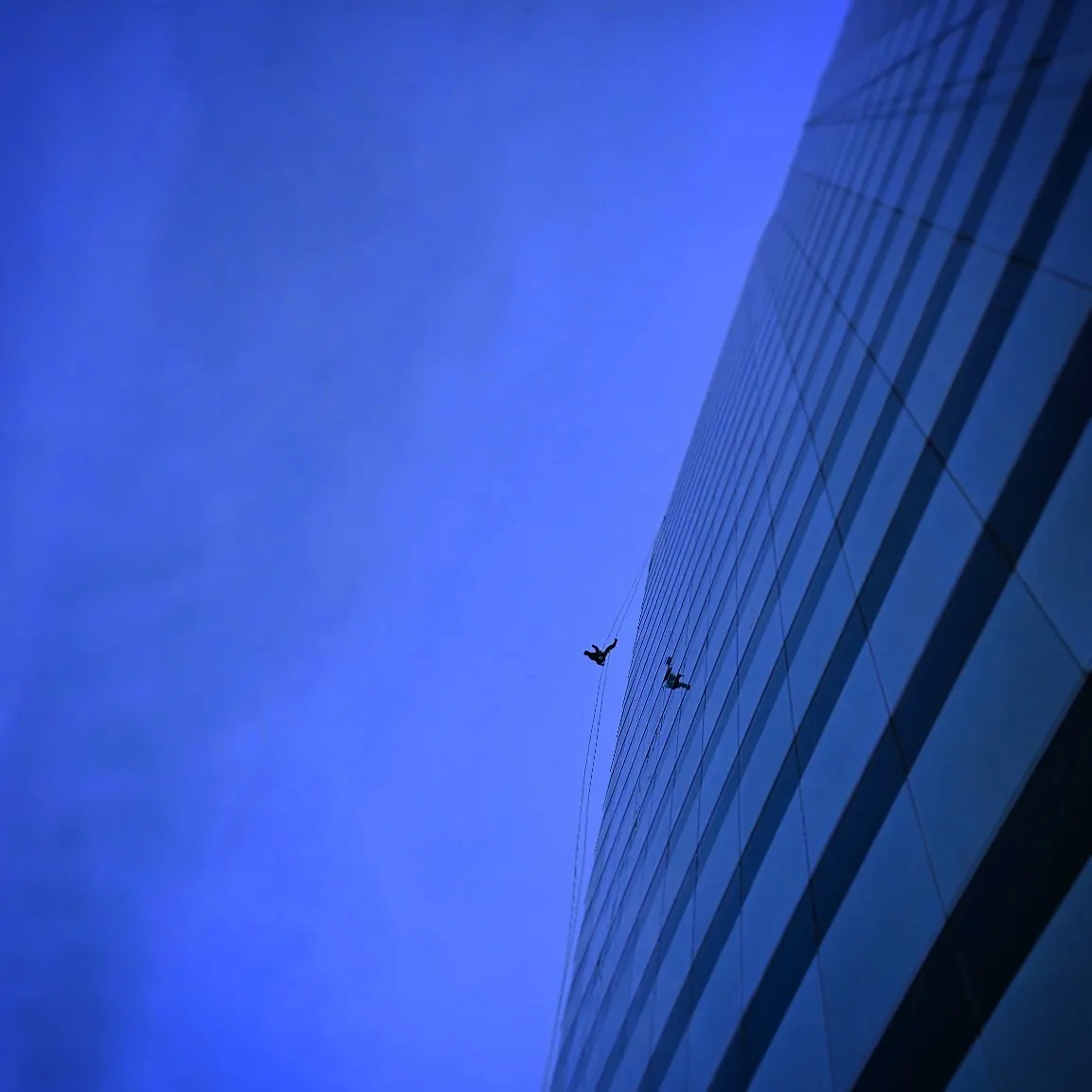 Two technicians on ropes against the blue glass of a tower at dusk